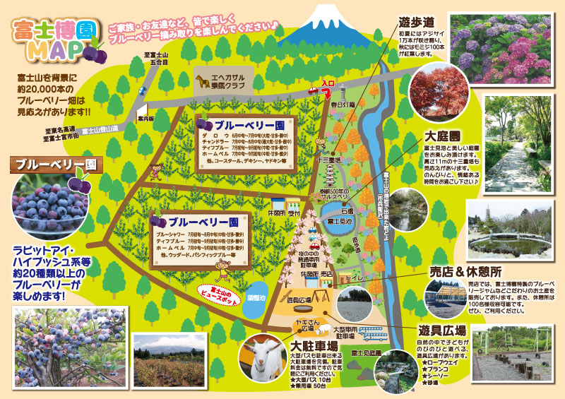 富士博園MAP